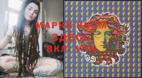 индика Кукмор