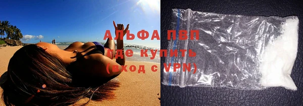 индика Кукмор