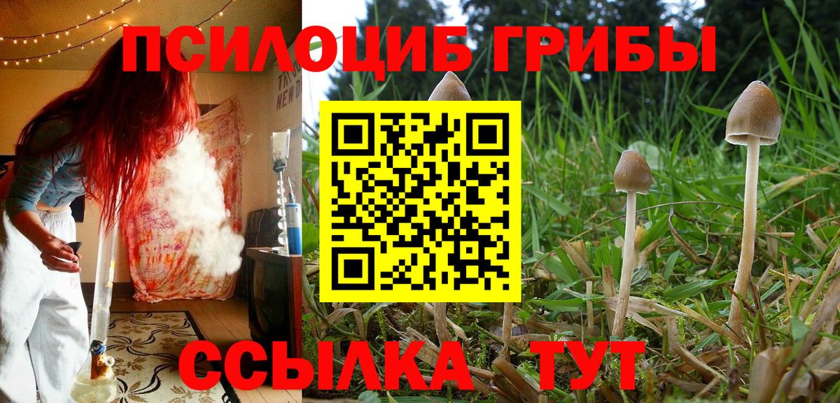 как найти закладки  Хабаровск  Псилоцибиновые грибы мицелий 