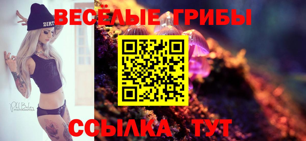 Псилоцибиновые грибы ЛСД  Галлюциногенные грибы мицелий  продажа наркотиков  Вход с VPN  Хабаровск 